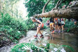 BIB: 
                            <button type="button" onclick="openModal(25466156)" class="btn btn-primary btn-sm float-right btn-popup" data-toggle="modal" data-target=".modal-high-quality">
                        <i class="fas fa-shopping-cart"></i> Add to Cart
                    </button>
                                            <button type="button" onclick="isThisMe(25466156, true)" class="btn btn-success btn-sm float-right btn-popup btn-isme hidden" data-toggle="tooltip" data-placement="bottom" title="นี่คือรูปของคุณใช่ไหม คลิกที่นี่เพื่อเอาเข้าอัลบั้ม">
                        <i class="fas fa-plus"></i> Add to album
                    </button>
                    <button type="button" onclick="isThisMe(25466156, false)" class="btn btn-warning btn-sm float-right btn-popup btn-isnotme hidden">
                        <i class="fas fa-ban"></i> Remove from album
                    </button>